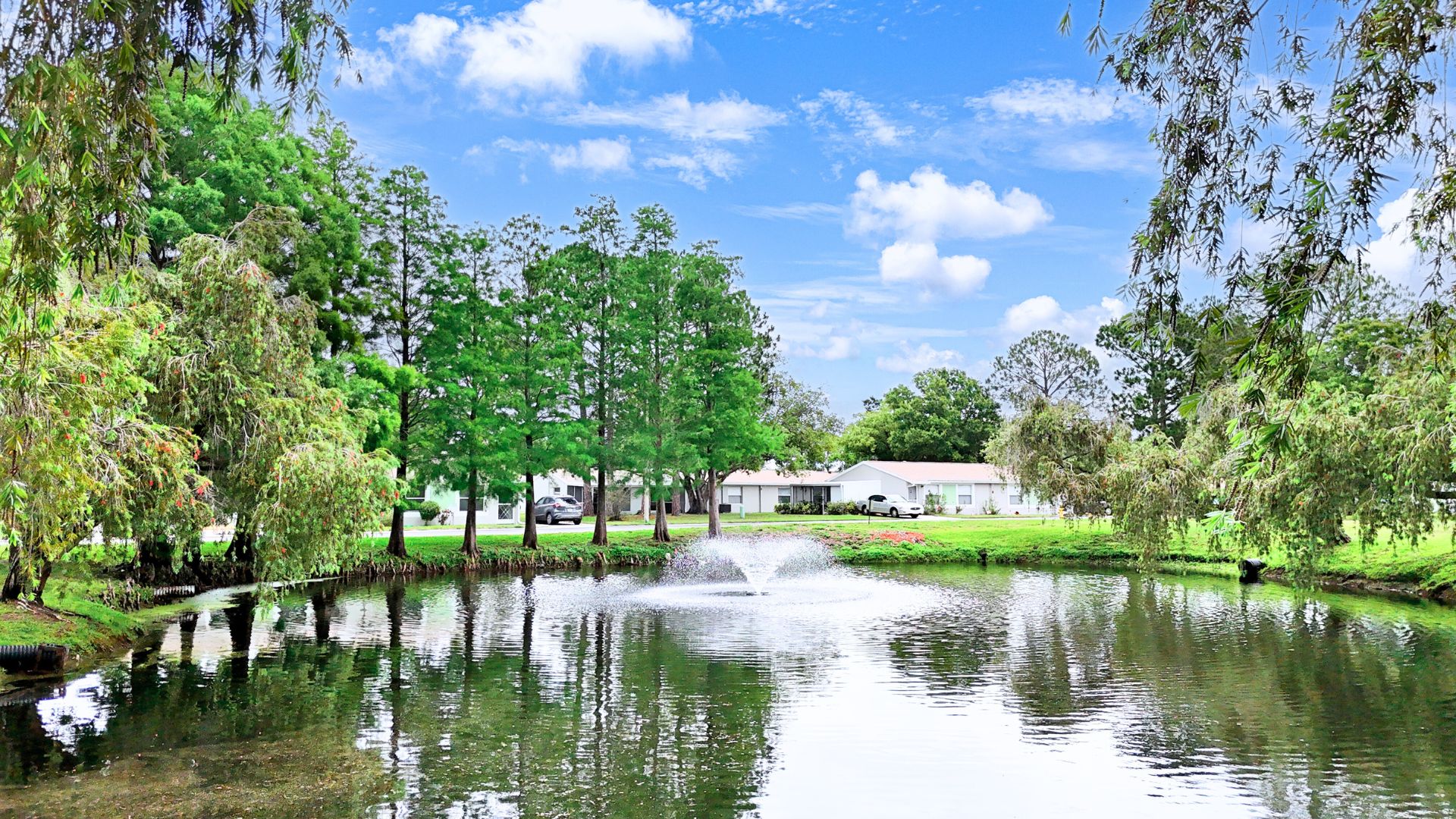 Palm Lake Village Brand Photo(2)